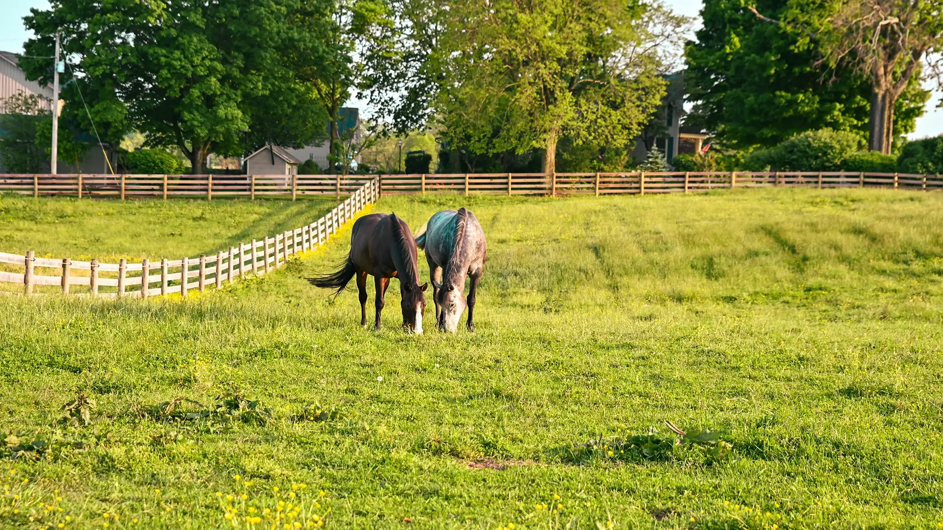 horse farm in Monroe Township
